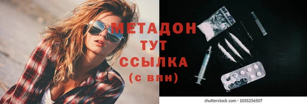PSILOCYBIN Алзамай