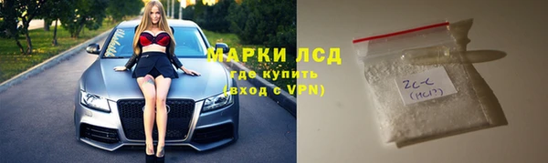 PSILOCYBIN Алзамай