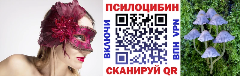 купить   OMG рабочий сайт  Псилоцибиновые грибы мицелий  Катав-Ивановск 